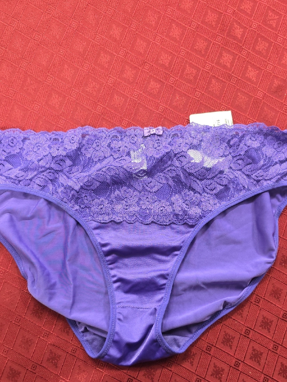 Women's Lace-Trim Hipster Panty in Purple